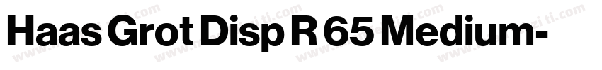 Haas Grot Disp R 65 Medium字体转换